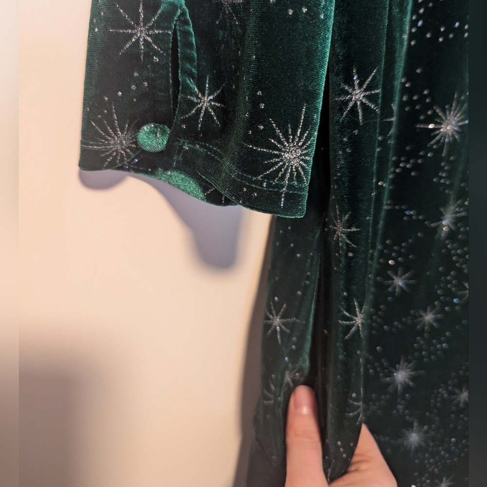 Smak Parlour Emerald Velvet & Silver Starburst Shift Dress - Picture 4 of 5